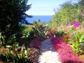 Domaine Lizardy Ferienhaus in Mittelamerika und Karibik - Bild 2