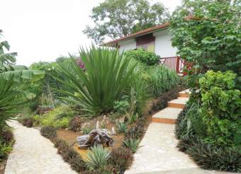 Domaine Lizardy Ferienhaus in Guadeloupe - Bild 8