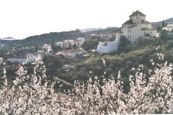 Al Andaluz Ferienhaus  Andalusien - Bild 8