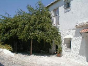 Al Andaluz Ferienhaus  - Bild 9