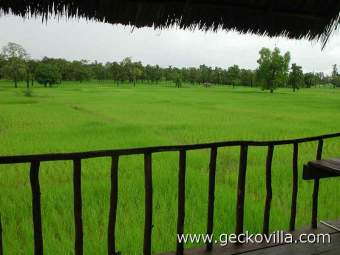 Gecko Villa Ferienhaus  Udon Thani - Bild 5