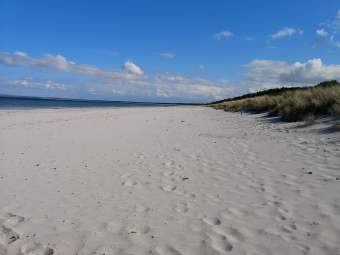 Ferienwohnung RÃ¼gen direkt am Sandstrand Meerblick Ferienwohnung  Ostseeinseln - Bild 8